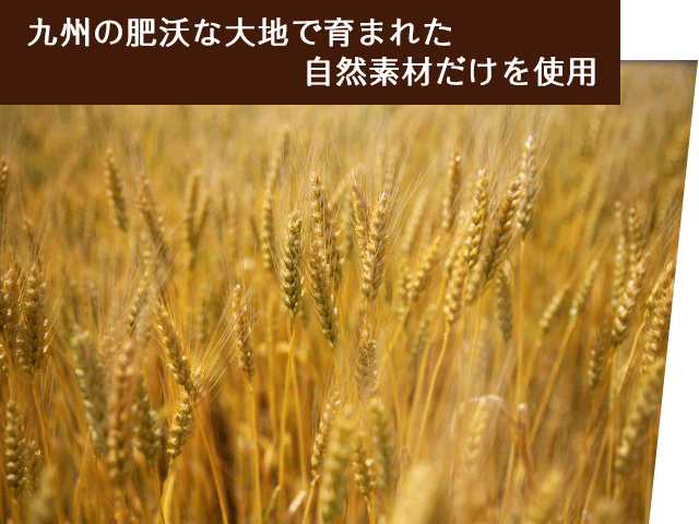 九州の肥沃な大地で育まれた自然素材だけを使用